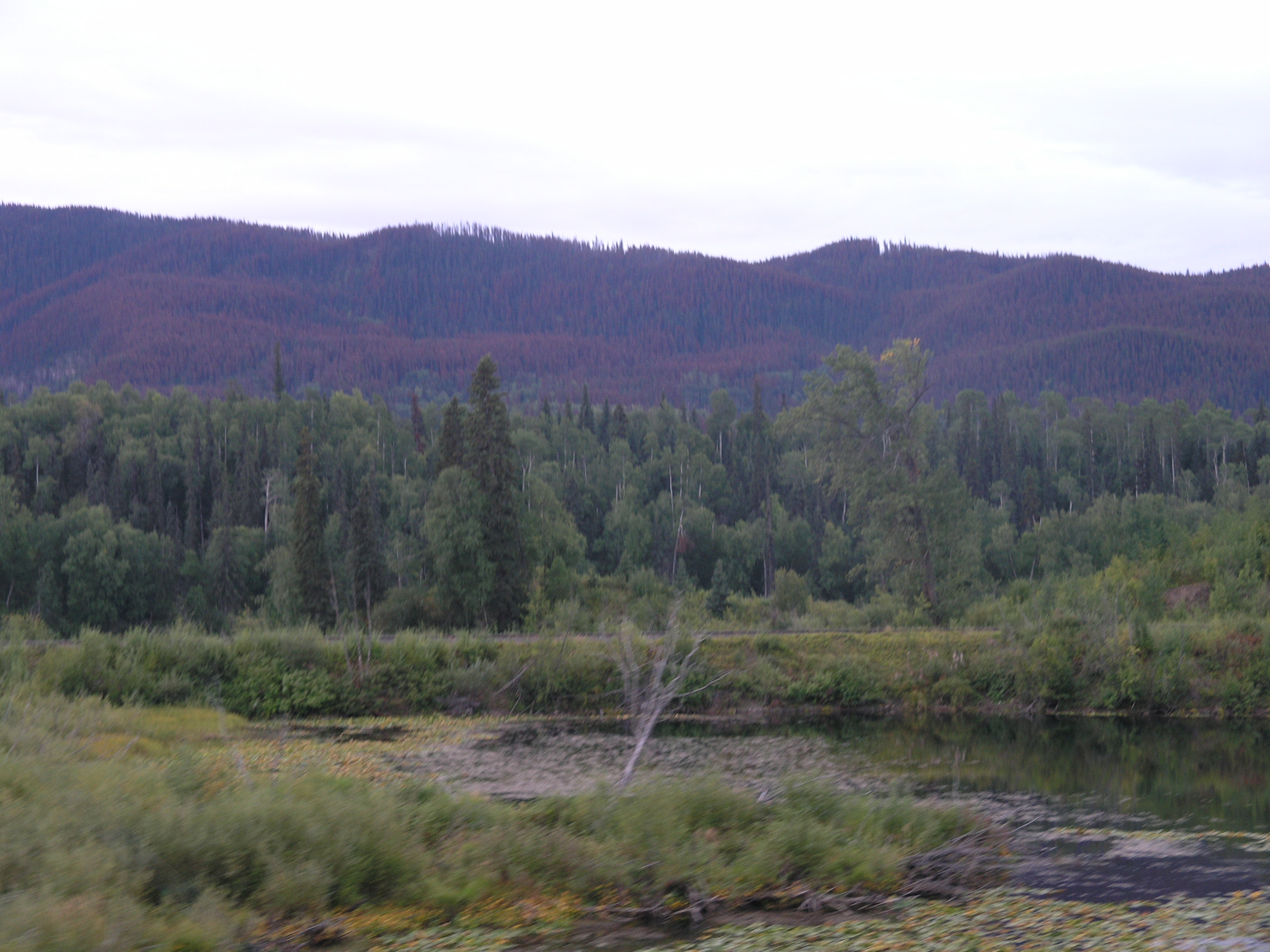 P8285075.JPG
