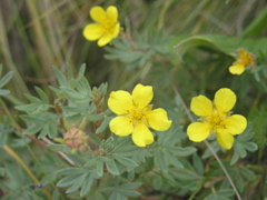 P8195001.JPG