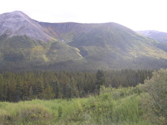 P8265046.JPG