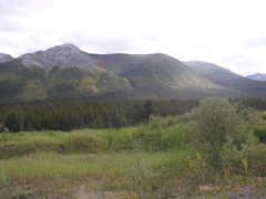 P8265047.JPG