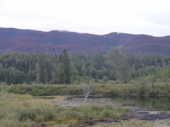 P8285075.JPG